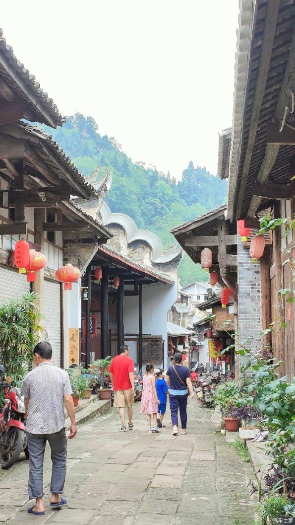 为摸清过冬鹰类数量和绘制“鹰类地图”,匈牙利启动“数鹰”